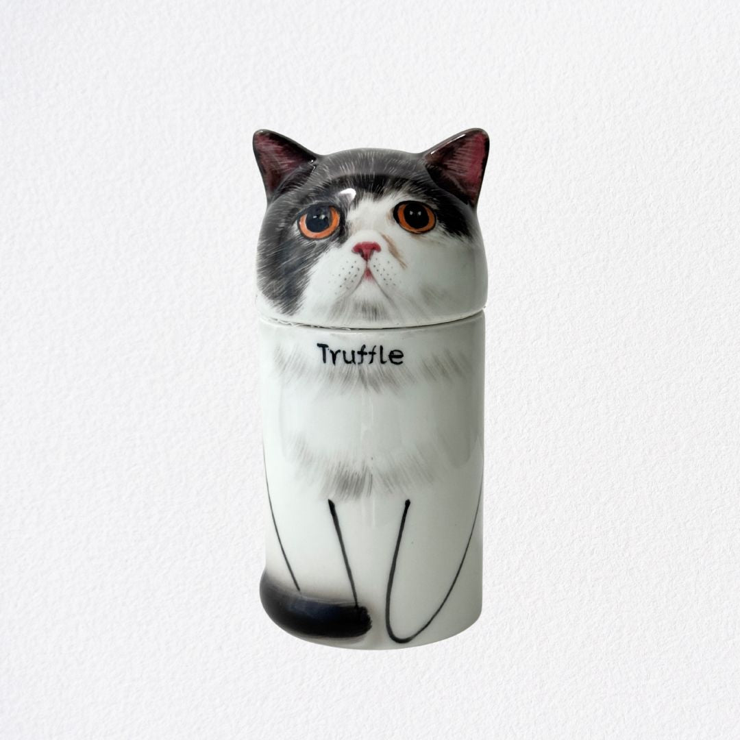 Eternal Companion Handmade Cat Portrait Urn/Decor