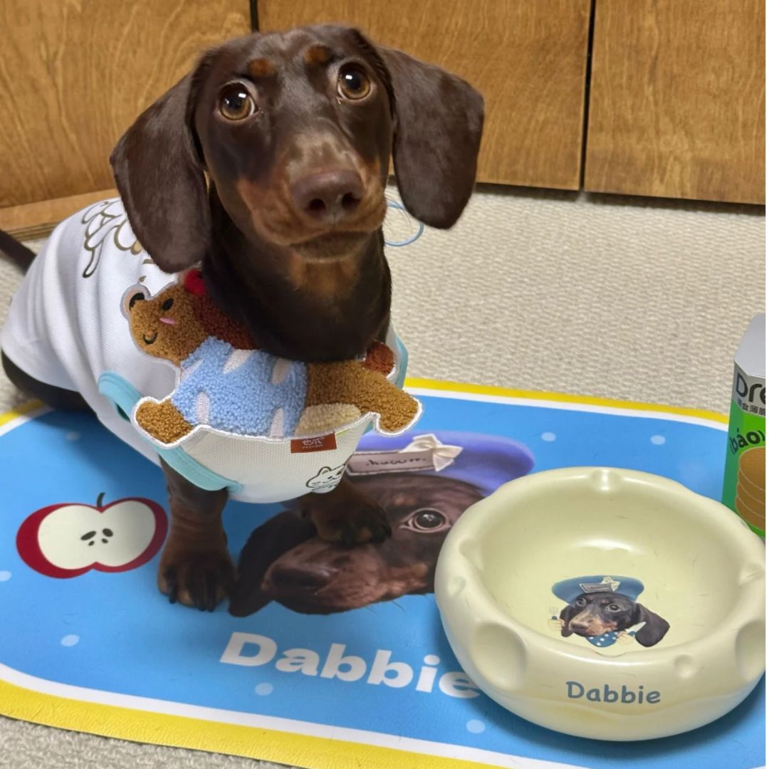 Personalized Handmade Ceramic Pet Food Bowl Food&Water Set