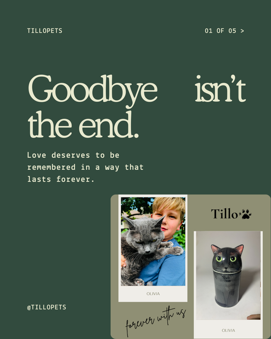 Coping With the Loss of a Dog: 7 Ways to Remember and Heal