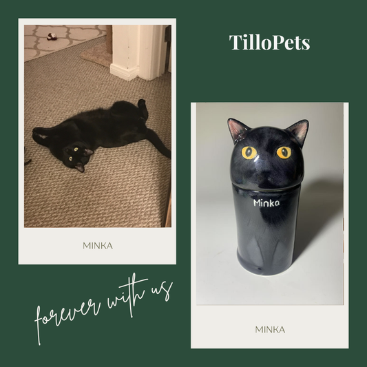 How to Pick the Right Size Urn or Keepsake for Your Cat