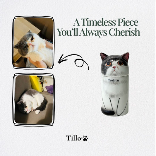 Cat Urn Buying Guide 2025: Choosing the Perfect Memorial for Your Feline Companion
