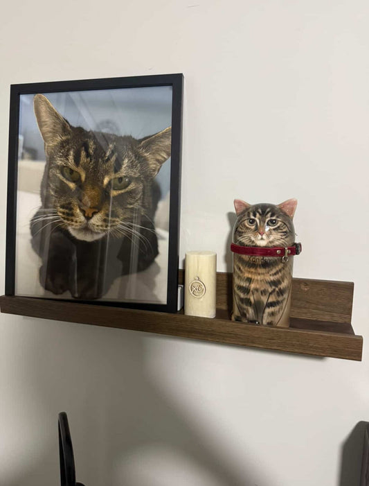 Is It Good to Keep Dog Ashes at Home?