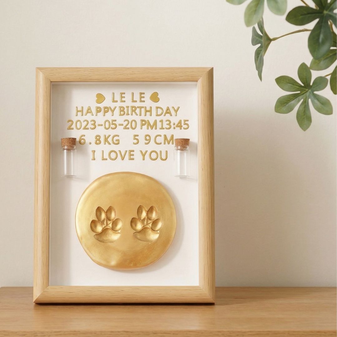 Pet Paw Print Keepsake Frame Kit