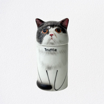 Eternal Companion Handmade Cat Portrait Urn/Decor