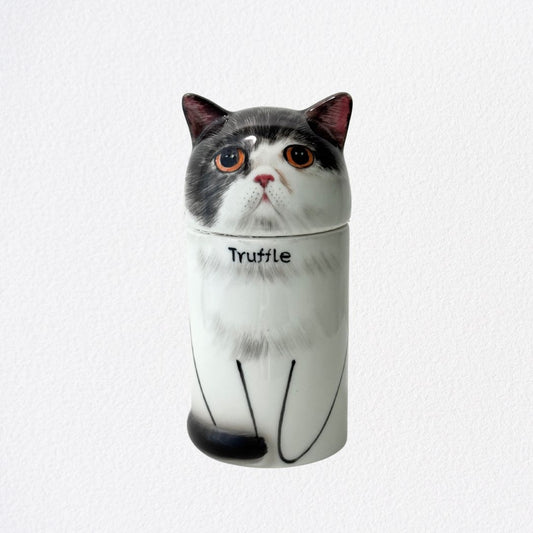 Eternal Companion Handmade Cat Portrait Urn/Decor