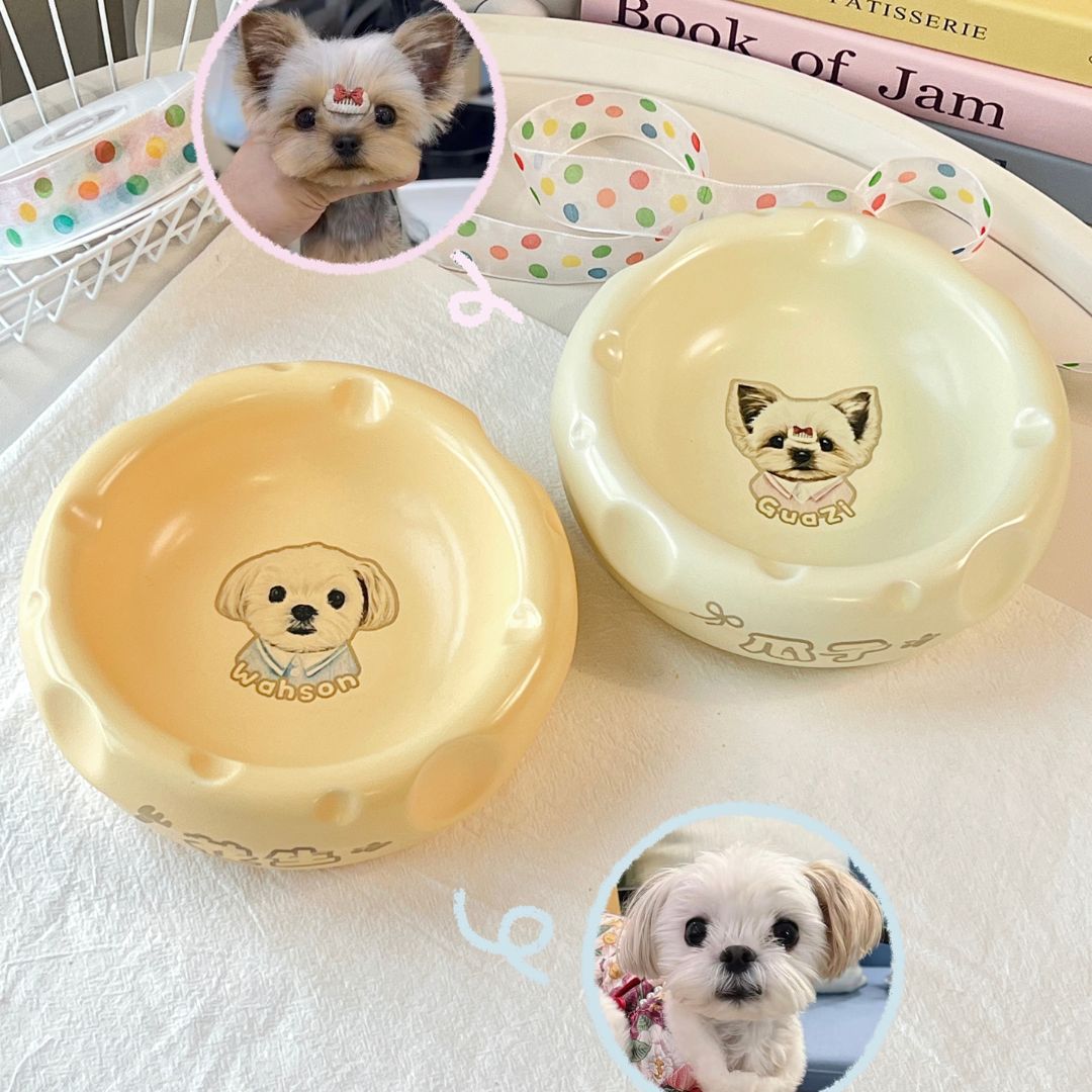 Personalized Handmade Ceramic Pet Food Bowl Food&Water Set