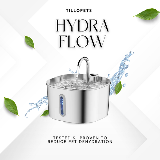 HydraFlow™ Stainless Fountain