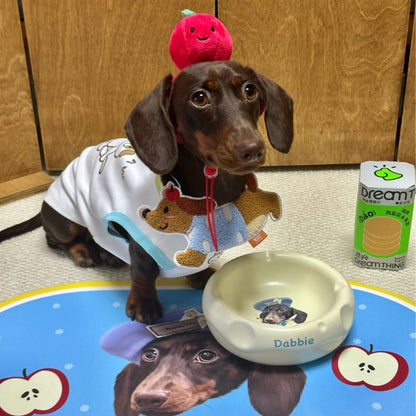 Personalized Handmade Ceramic Pet Food Bowl Food&Water Set