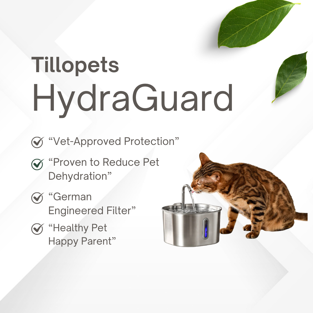 HydraFlow™ Stainless Fountain