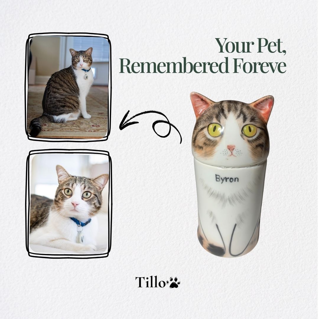 Eternal Companion Handmade Cat Portrait Urn/Decor