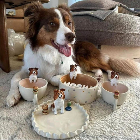 Custom Pet Dinning Sets- Designed By Mr.H