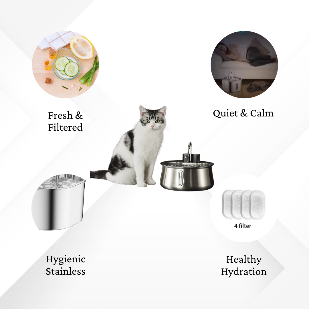 Cat next to a pet water fountain with features listed on a white background