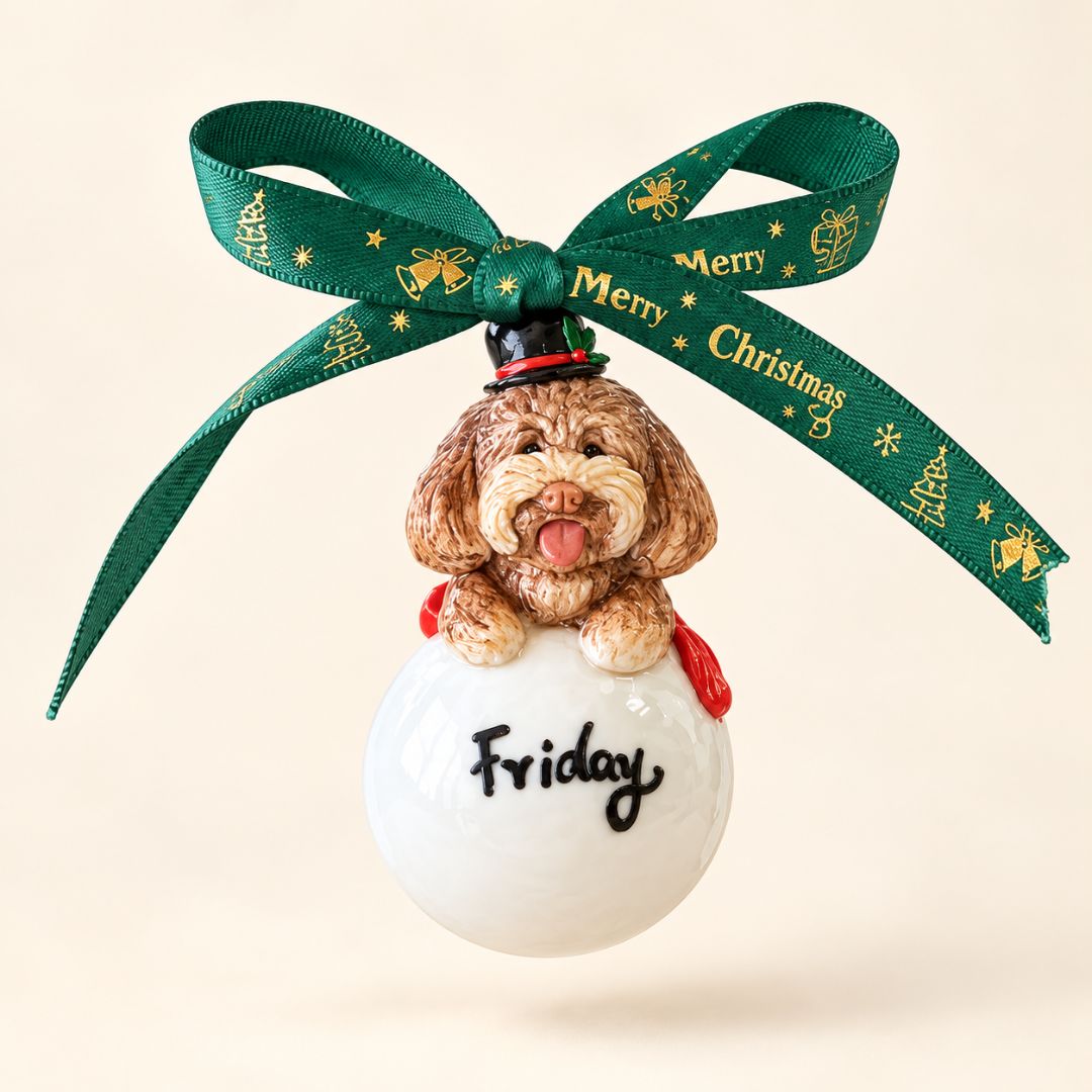 Custom Pet Christmas Ornament – Handmade Clay SnowPetman