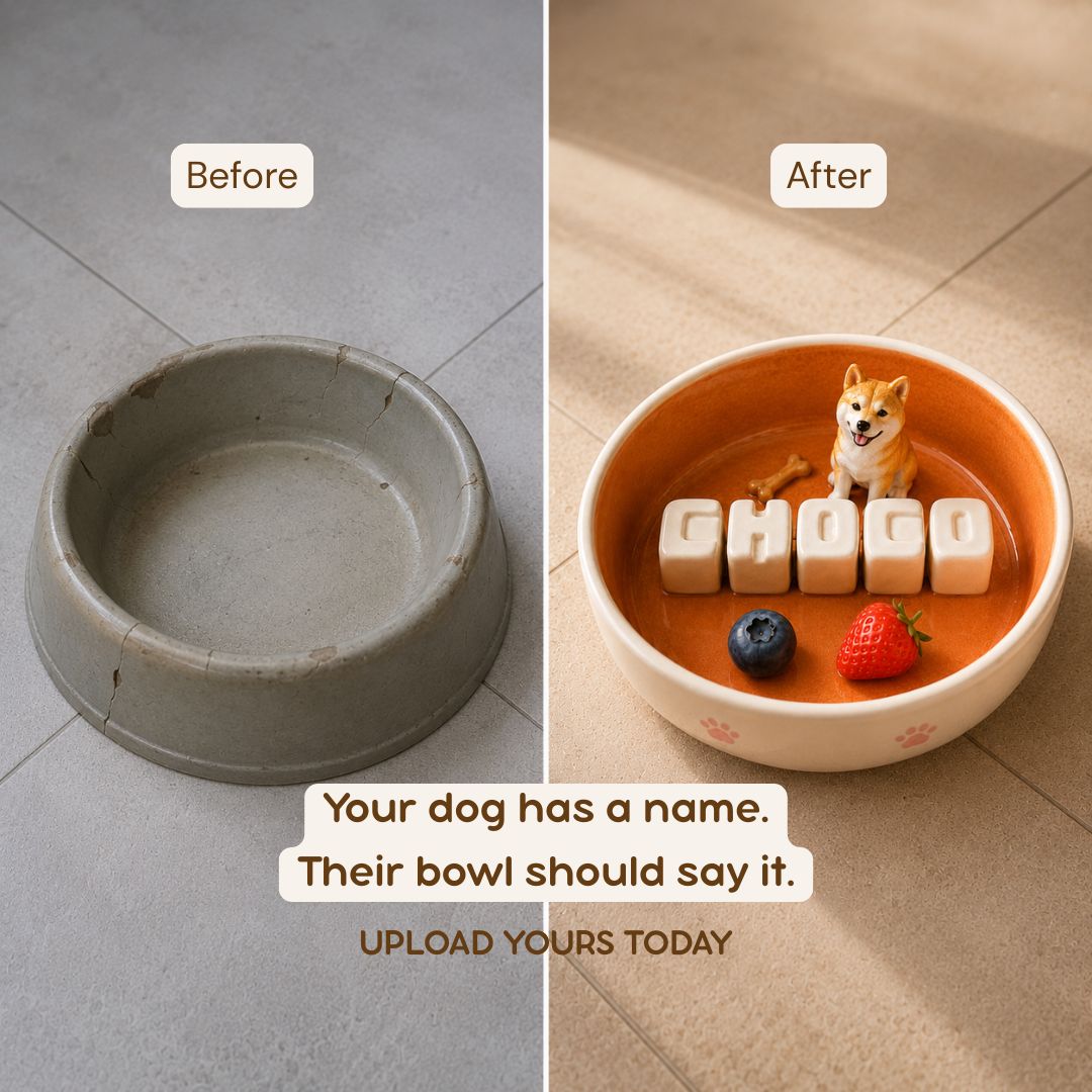 Personalized Ceramic Dog & Cat Slow Feeder Bowl & Water (800ml)