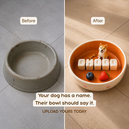 Personalized Ceramic Dog & Cat Slow Feeder Bowl & Water (800ml)