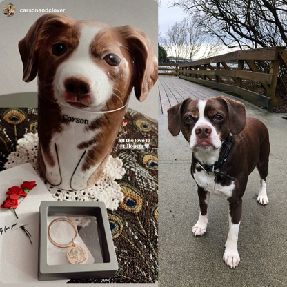 Eternal Companion Handmade Cat Portrait Urn/Decor