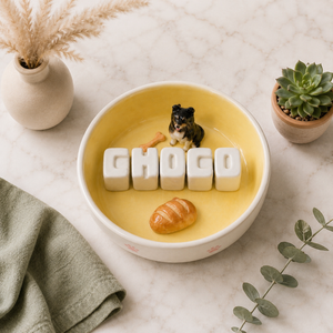 Personalized Ceramic Dog & Cat Slow Feeder Bowl & Water (800ml)