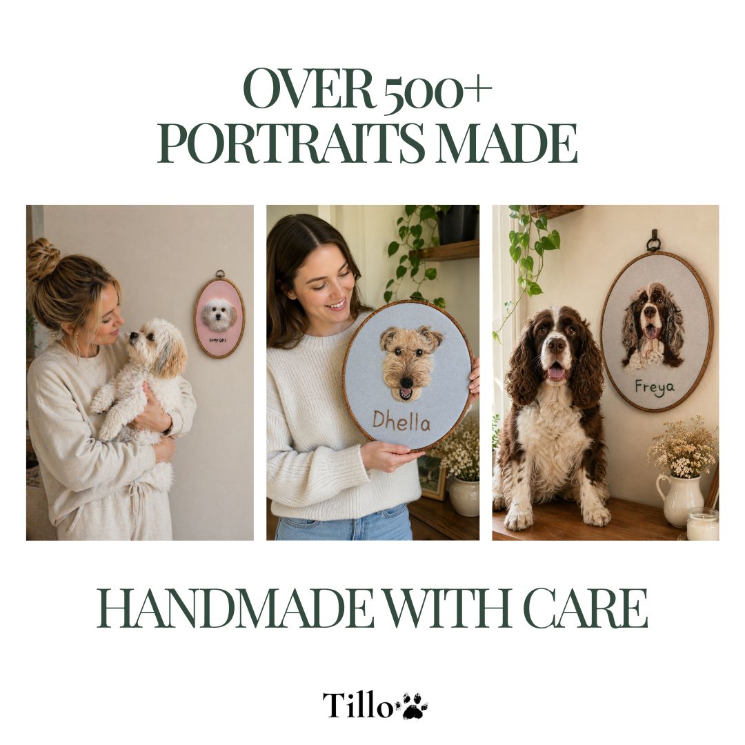 Promotional graphic for a pet portrait service showing three examples of handmade embroidered dog portraits: a small white dog in a pink hoop, a tan dog named Dhello in a light blue hoop, and a brown and white Spaniel named Freya in a wooden hoop. Text reads 'OVER 500+ PORTRAITS MADE', 'HANDMADE WITH CARE', and the brand 'Tillo' at the bottom.