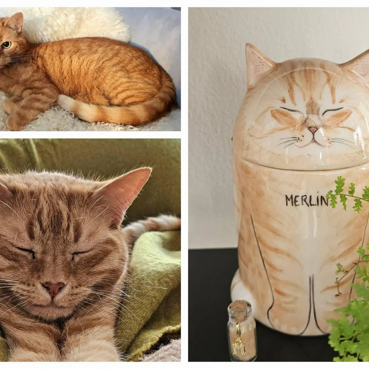 Eternal Companion Cat Portrait Ceramic Urn/Decor